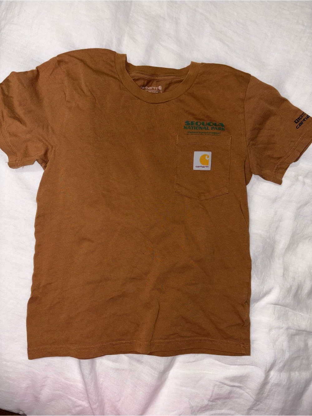 Carhartt Brown Crewneck T-Shirt with Logo Tag - Picture 2 of 6